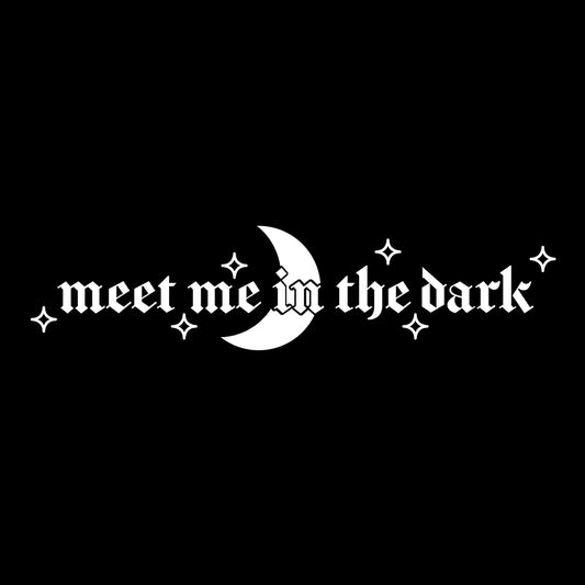 MEET ME IN THE DARK