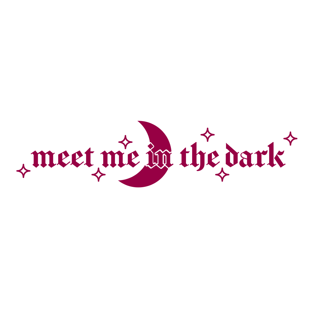 MEET ME IN THE DARK